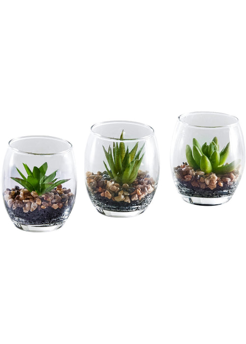 Umetna rastlina kakteja v steklu (3 kosi)
